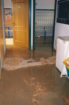 Hochwasser 1987 (1)