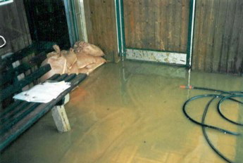 Hochwasser 1991 (2)